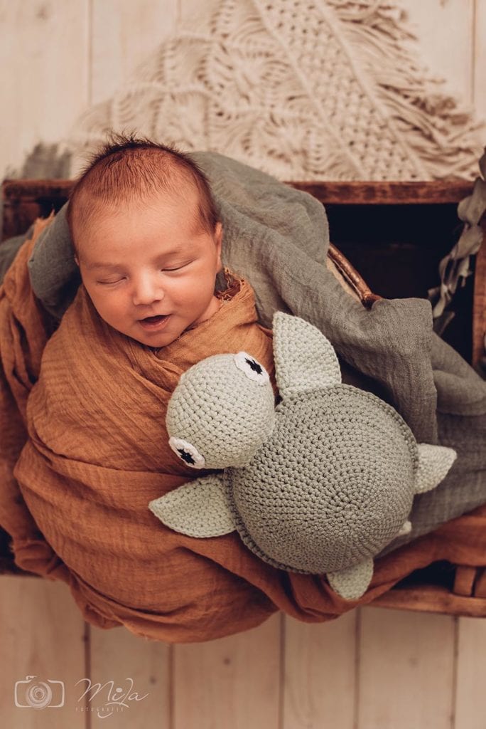 Babyfotoshooting FotografLandau 684x1024 - Babyfotoshooting